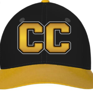 Carolina Crocs Gold Crown (Fitted)